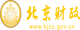 日本老女人BB北京市财政局